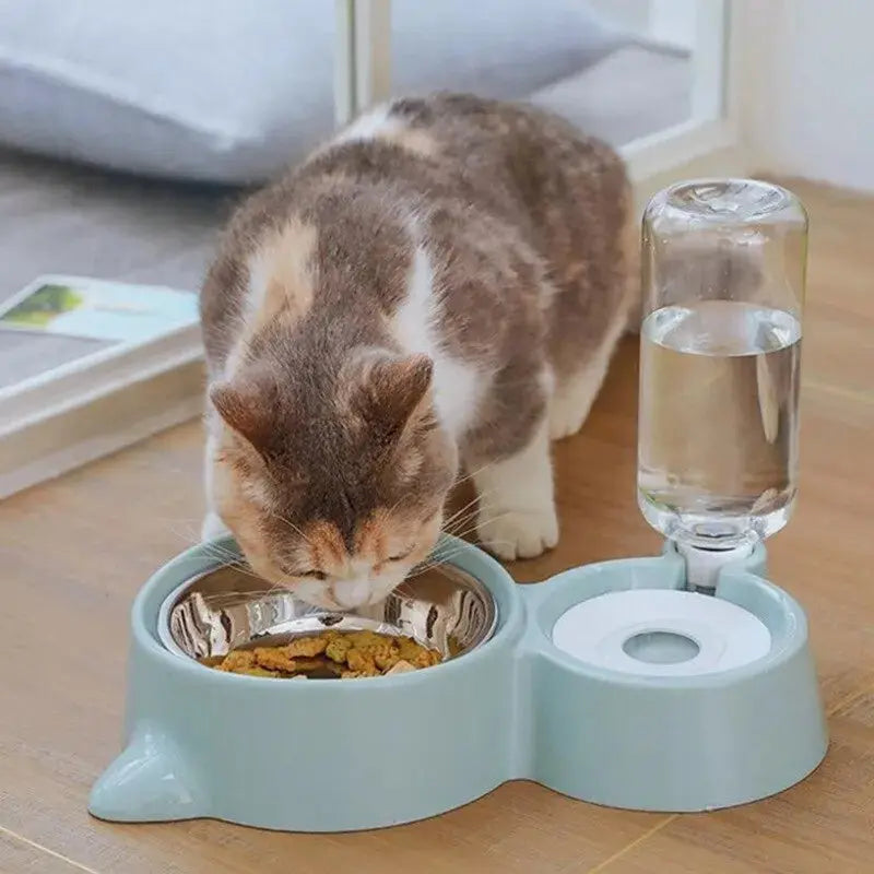 AutoPet Feeder & Water Dispenser - Cat Steam Brush