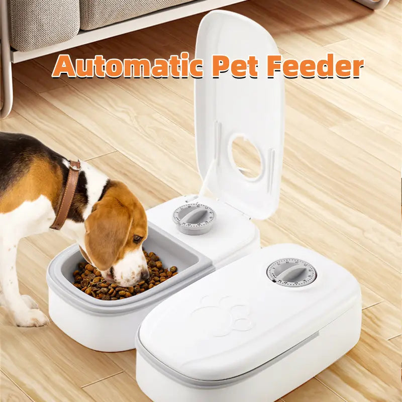 Automatic Food Bowl for Cats and Dog™ - Cat Steam Brush