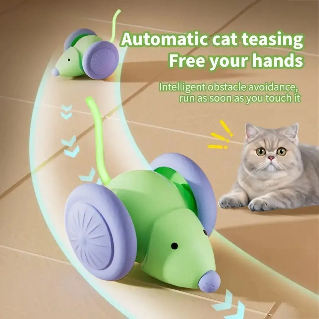 SmartChase Mouse - Cat Steam Brush