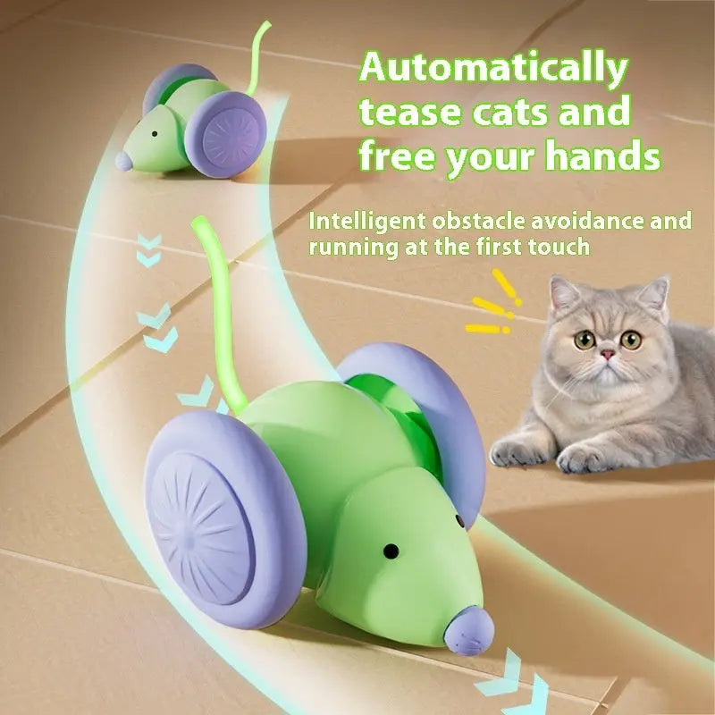 SmartChase Mouse - Cat Steam Brush